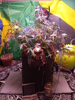 IMG_20251231_090132.jpg