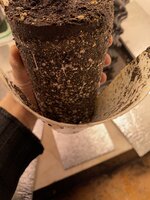 IMG_2423.jpeg