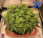 IMG_2096.jpeg
