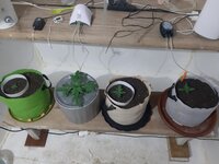20260119_063900.jpg 20260119_063900.jpg