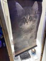 IMG_2648.jpeg