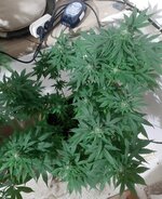 20260124_065517.jpg 20260124_065517.jpg