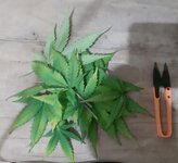 20260125_094731.jpg 20260125_094731.jpg