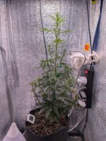 PXL_20260129_100718283.jpg