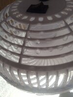 IMG_20251223_180541_214.jpg