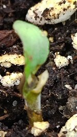 IMG_20260130_190808_149.jpg