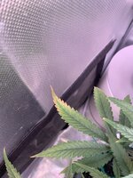 IMG_9776.jpeg