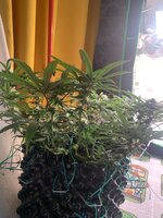 IMG_9783.jpeg