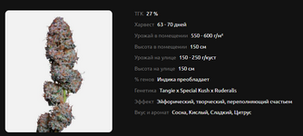 изображение_2026-02-09_150319924.png