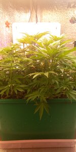 20260209_170734.jpg