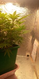 20260209_165839.jpg