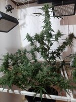 20260210_063426.jpg 20260210_063426.jpg