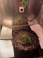 IMG_3015.jpeg