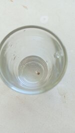 1770726317775.jpg