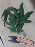20250925_082019.jpg 20250925_082019.jpg