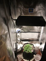 DSCF2762.JPG