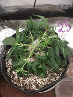 DSCF2778.JPG