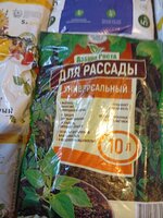 IMG_20260219_092159.jpg