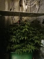 IMG_20260220_220307.jpg