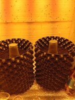 IMG_20260221_113407.jpg