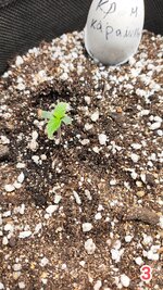 IMG_20260223_034424.jpg
