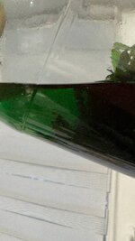 IMG_20260227_202553_961.jpg
