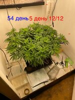 IMG_3270.jpeg