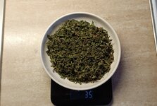 IMG_20260301_101135.jpg