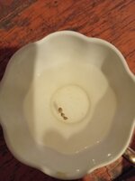 IMG_20260303_182700.jpg