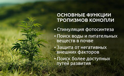 V-zaklyuchenie__rqNkbCLLBihzLtL9.jpg