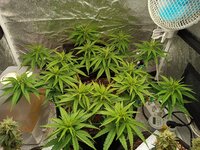 IMG_20260228_060406.jpg