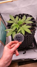 IMG_0899.jpeg