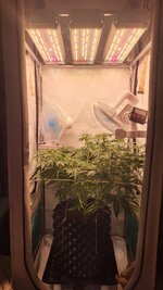 IMG_0946.jpeg