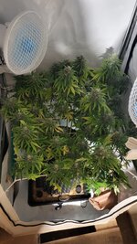 IMG_0965.jpeg