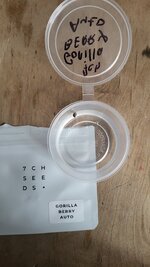 IMG_1041.jpeg