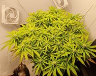 IMG_1113.jpeg