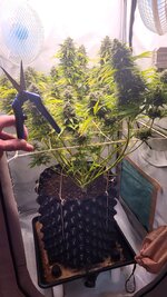 IMG_1276.jpeg