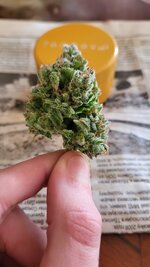 IMG_1286.jpeg