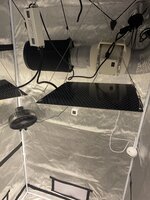 IMG_7225.jpeg