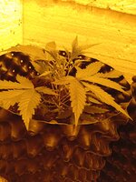 IMG_20260321_090111.jpg
