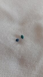 20260322_122808.jpg