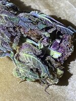 IMG_1108.jpeg