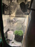 IMG_0411.jpeg
