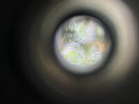 1 — копия.jpg