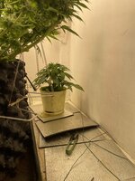 IMG_3844.jpeg