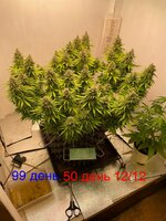IMG_3924.jpeg