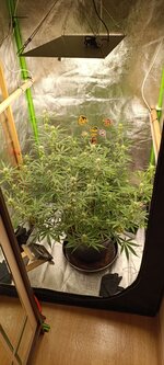 IMG_20260418_075103.jpg