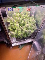IMG_3942.jpeg
