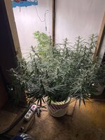 IMG_4054.jpeg