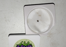 crop_5850620901084382241.png